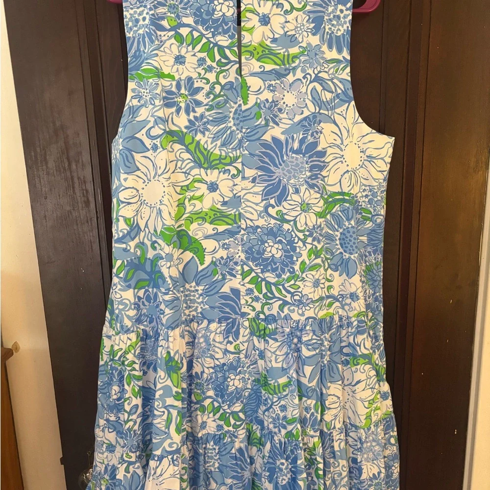 Lilly Pulitzer floral dress size Large, never worn no tags - Picture 2 of 4